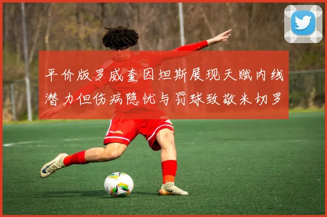 平价版罗威奎因坦斯展现天赋内线潜力但伤病隐忧与罚球致敬米切罗